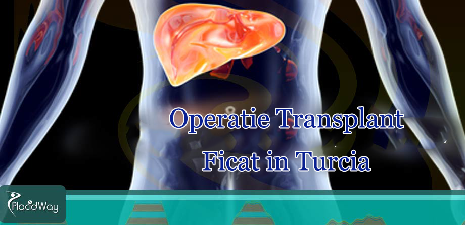 Operatie Transplant Ficat in Turcia - Operatie Transplant Ficat in Turcia